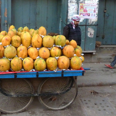 Straatverkoper met handkar vol papaja’s tijdens groepsrondreis Noord-India en Nepal.