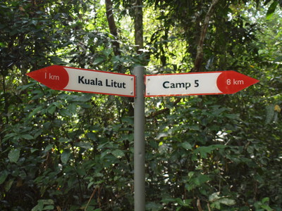 Camp 5