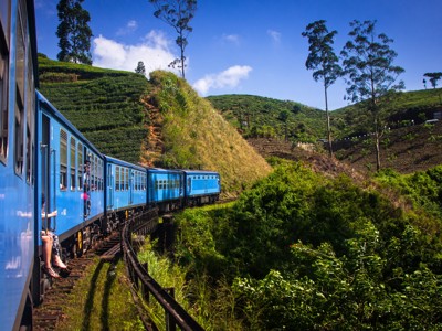 Blauwe trein door groene theeplantages in de heuvels van Sri Lanka tijdens de route Sri Lanka en Malediven.