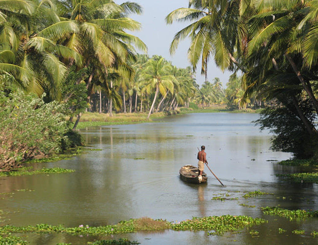 Man vaart met een kano door de backwaters van Zuid-India, omringd door palmbomen.