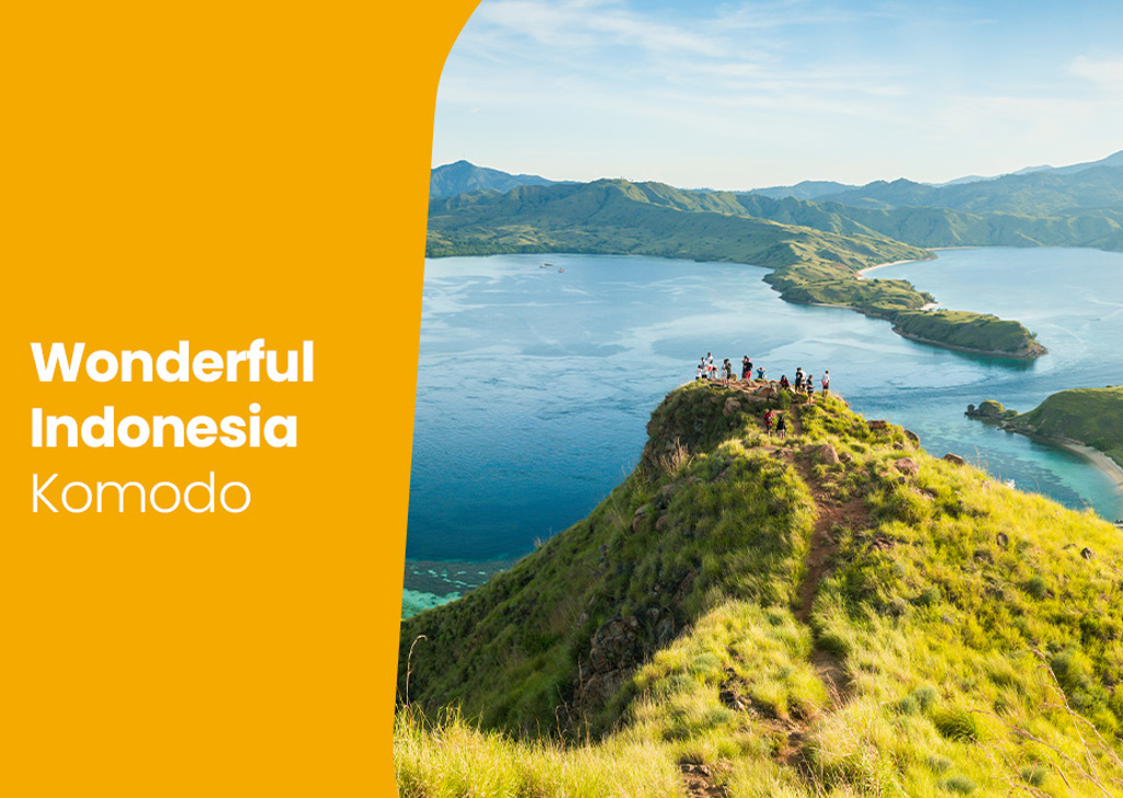 YouTube-thumbnail-umbraco-komodo.jpg