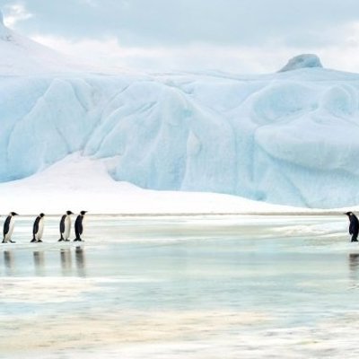 Groepsrondreis Antarctica: Snow Hill eiland.