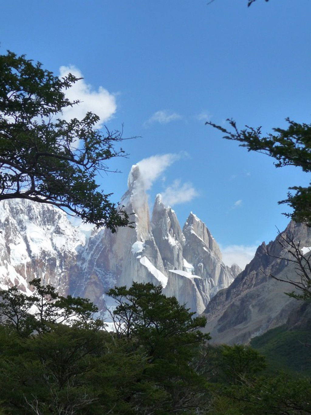Besneeuwde bergtoppen van de Andes in Patagonië, gezien door bomen onder een blauwe lucht.