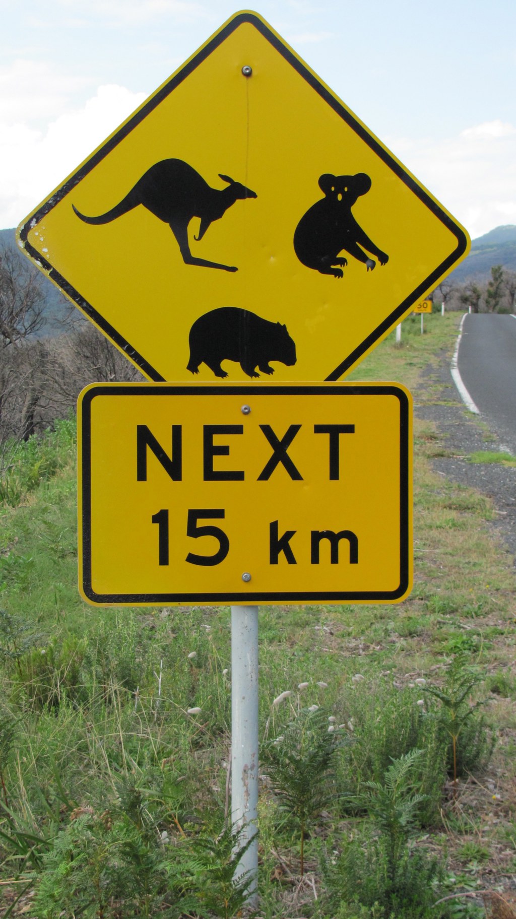 Verkeersbord in Australië met waarschuwing voor kangoeroes, koala’s en wombats, volgende 15 km.