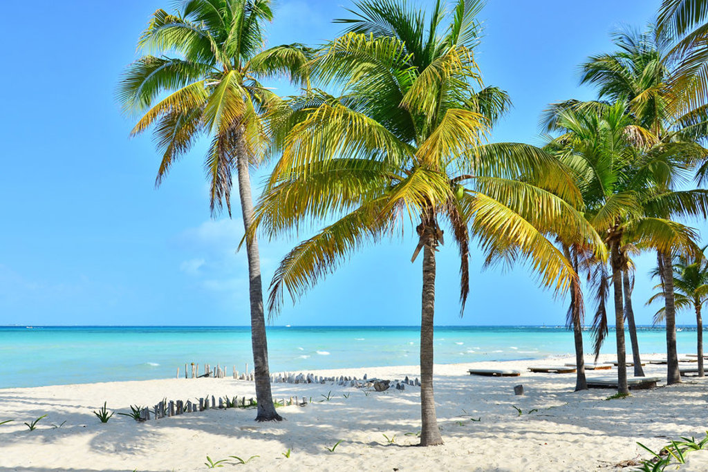 Palmbomen op een wit zandstrand aan de Caribische kust van Mexico tijdens een familiereis.