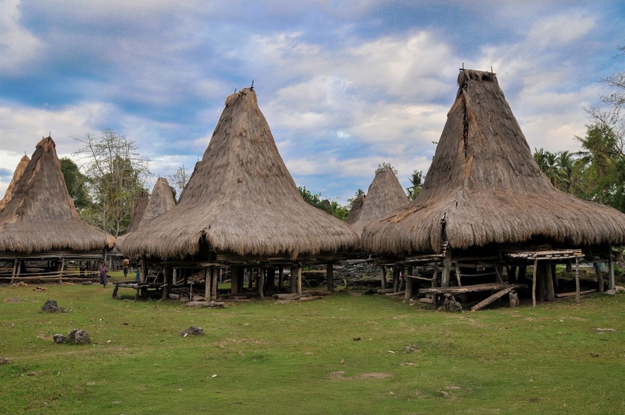 Traditionele rieten huizen op palen in een dorp op Flores, Indonesië.