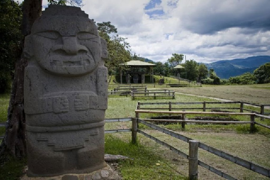 Uitzicht op groene koffievelden in Colombia tijdens een groepsrondreis.