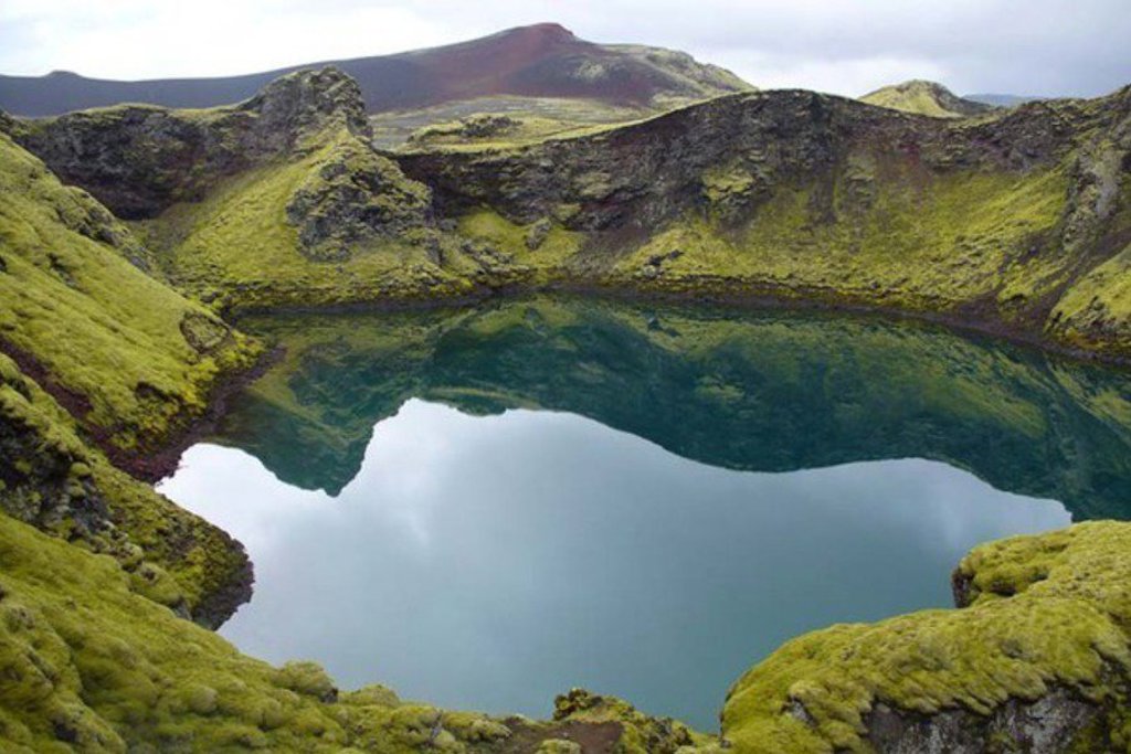 Groepsrondreis IJsland: rijafrost langs een rivier met bergen op de achtergrond.