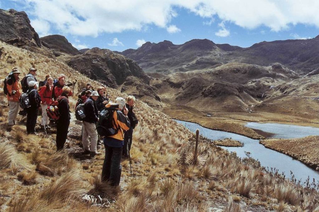 Mistige bergtoppen in Ecuador, gezien vanaf een groene heuvel met struiken.